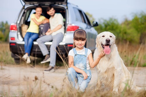 Você sabe a hora de trocar o cinto de segurança do carro? Confira
