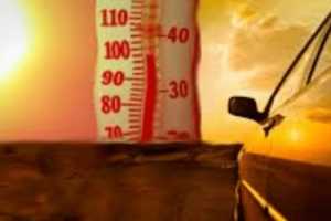 Cuidados básicos no carro em época de calor: confira 5 dicas