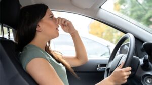 Truques infalíveis para eliminar o mau cheiro do seu carro